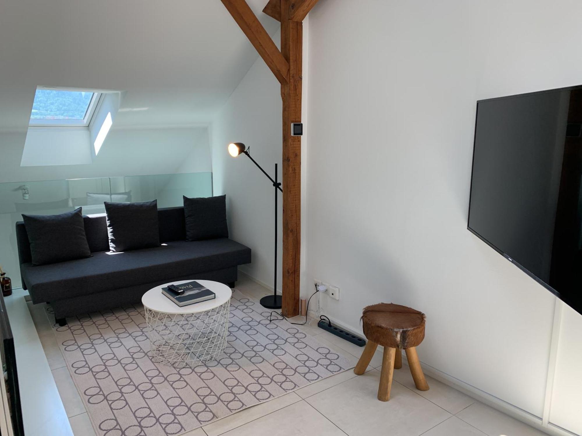 Zuerich Niederdorf - Grossmuenster Apartment Cameră foto